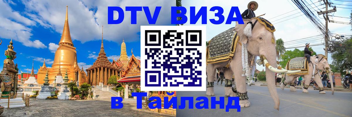 Оформление DTV визы под ключ: стоимость и тарифы, только загранпаспорт - Тхимпху 